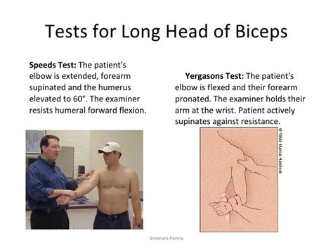 test for long head of biceps tear|special test for biceps tear.